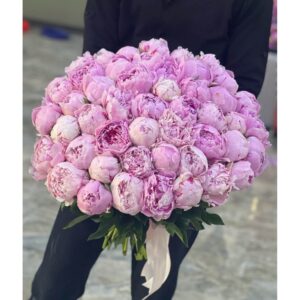 51 Ədəd Pion Gülündən Hazırlanmış Buket