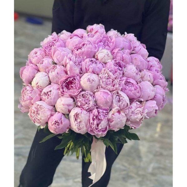 51 Ədəd Pion Gülündən Hazırlanmış Buket